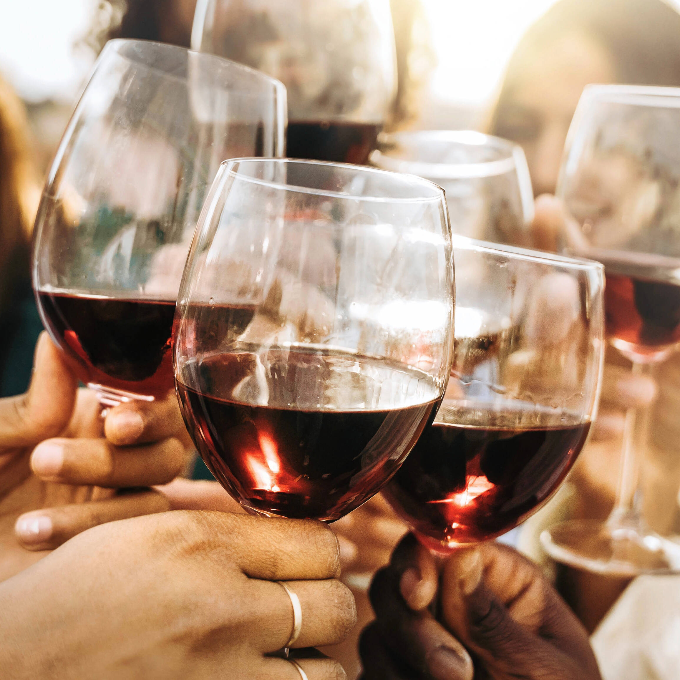 Sechs Rotweingläser stoßen an